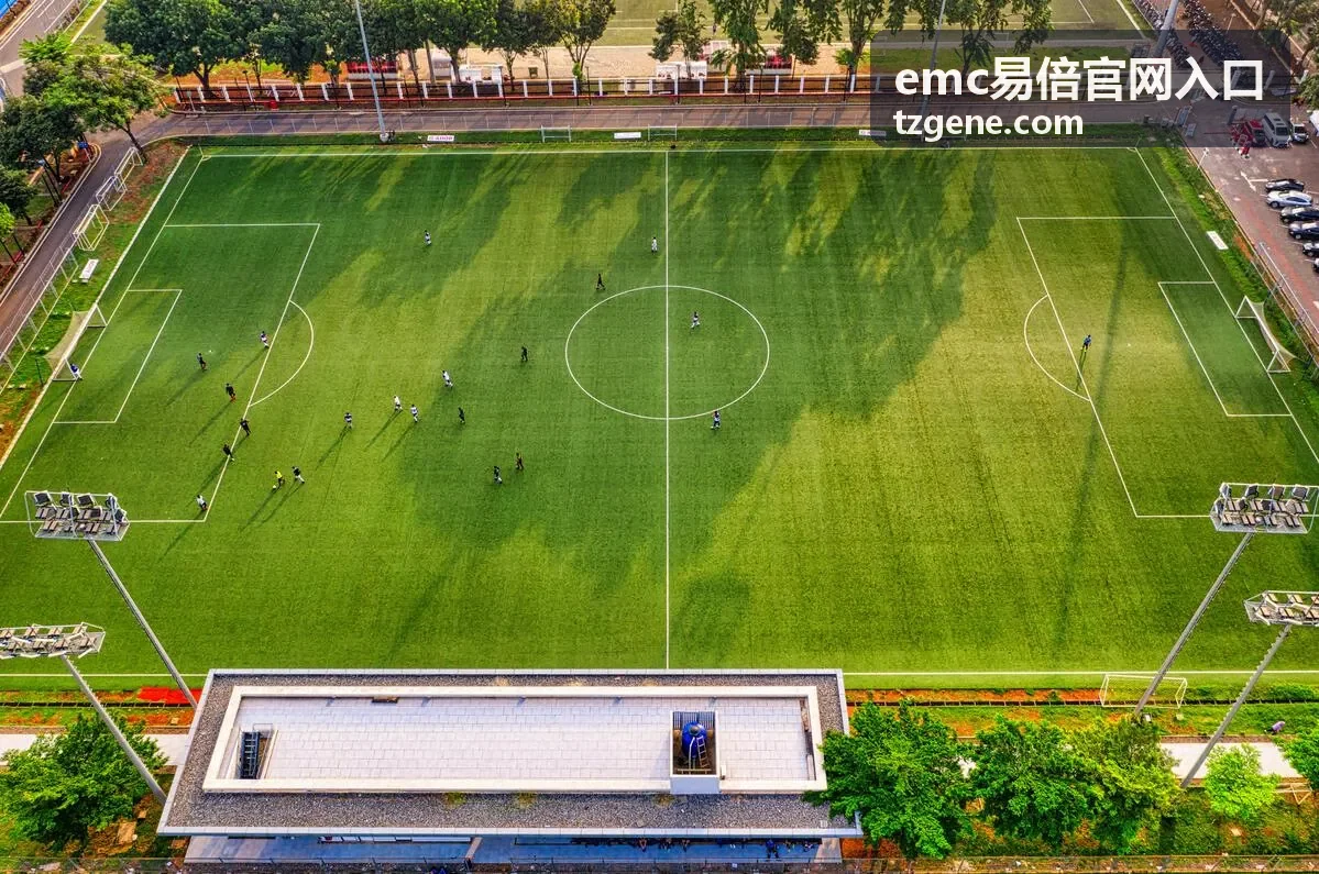 emc易倍官网入口 账户资料核对与完善操作示意