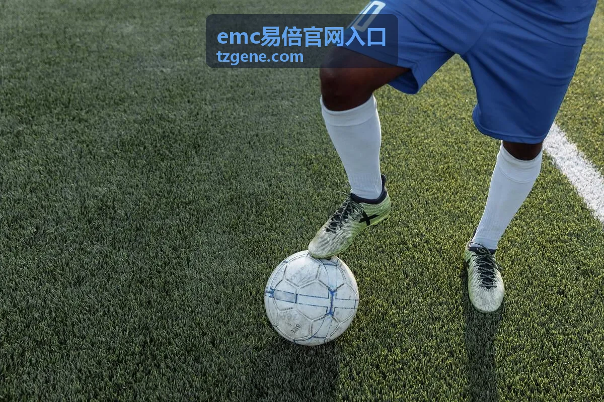 emc易倍官网入口入口访问指引中的浏览器环境核对示意