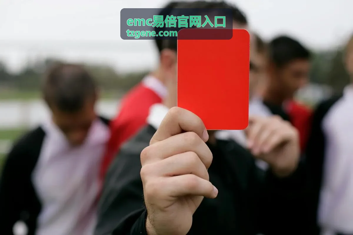 emc易倍官网入口 常用操作流程步骤示意图